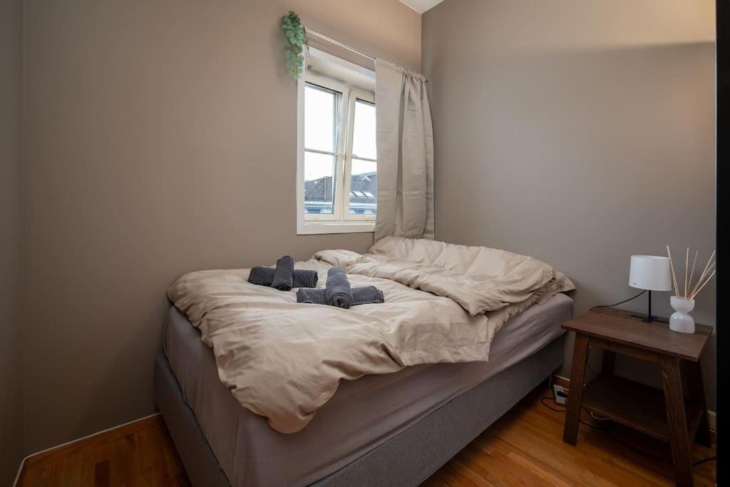 Studio Apt In City Centre トロンハイム エクステリア 写真